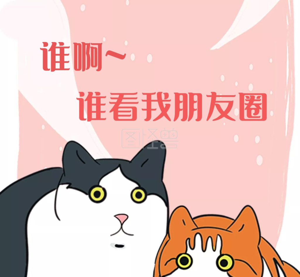 谁看我朋友圈的猫咪可爱朋友圈封面