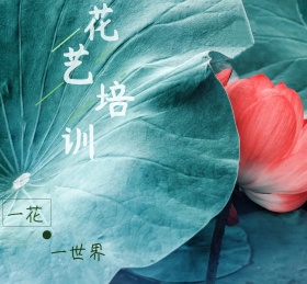 一花一世界淡雅花艺培训