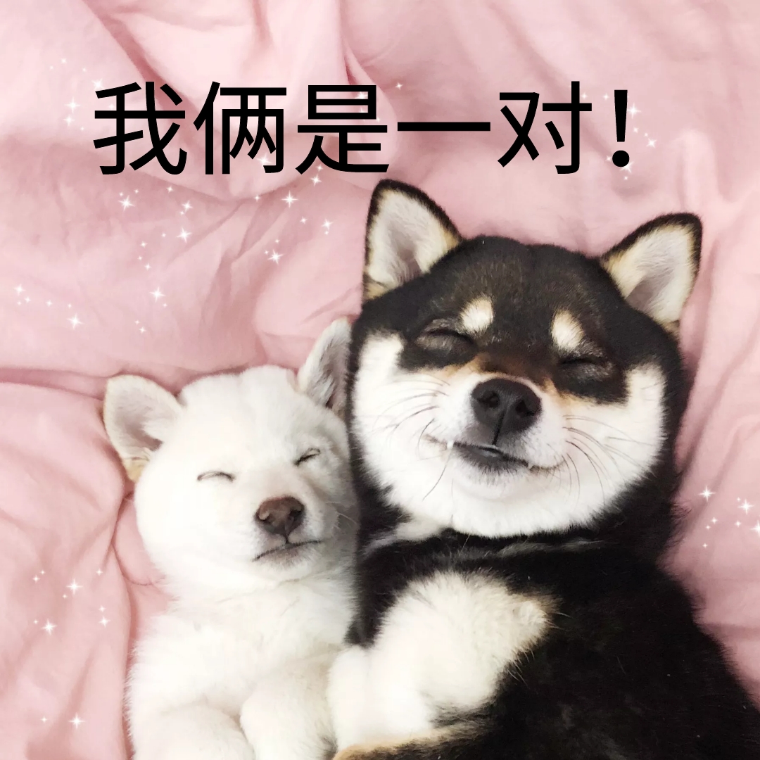 一对