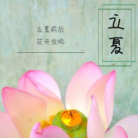立夏清新荷花公众号配图