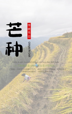 芒种中国传统二十四节气黄色简约手机海报