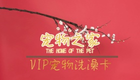 宠物店会员卡
