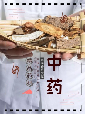 简约大气中药海报设计