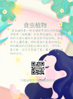 植物科普海报
