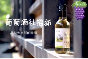 葡萄酒 葡萄酒海报