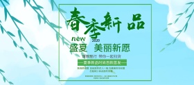 春季女装绿色海报banner