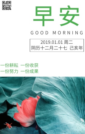 早安励志鸡汤日签