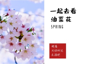 趁着 油菜花 去浪吧 一起去看 大好时光 SPRING 春天春季春游景色油菜花公众号配图