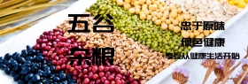 五谷杂粮店铺banner