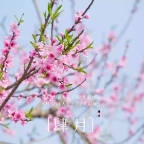 四月问候古风诗词文艺公众号配图