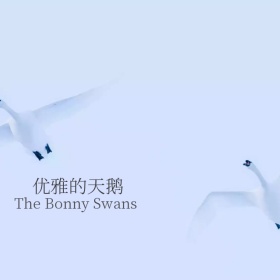 优雅的蓝天鹅手机微博封面