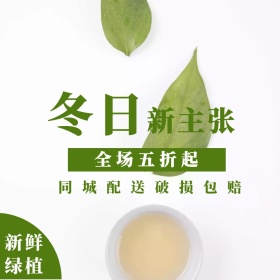绿植双十二淘宝促销简约直通车海报