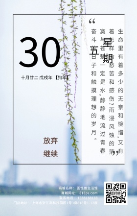 秋天落叶黄色叶子继续励志暖色日签