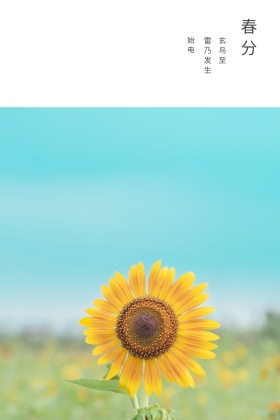 二十四节气春分春暖花开公众号配图