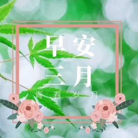 早安 三月 青春岁月 三月你好公众号封面小图