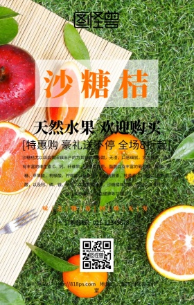 沙糖桔广告手机海报设计