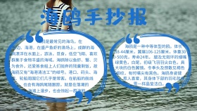 海鸥手抄报动物卡通