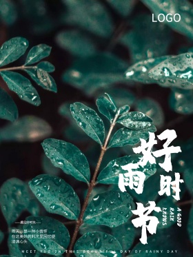 绿色文艺下雨天好雨晴节海报设计红包配图
