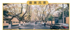 最美风景 最美风景在路上