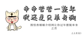 我还是只单身狗黄色公众号封面