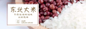 双十二简约东北大米促销海报banner