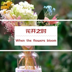 花开之时蓝色玫瑰手机微博封面模版