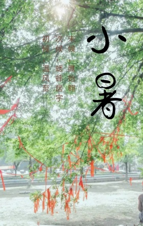 小暑文艺水墨荷花中国风节气手机海报