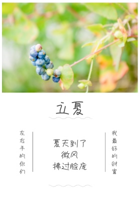 立夏红包公众号配图