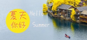 夏天你好向日葵公众号封面
