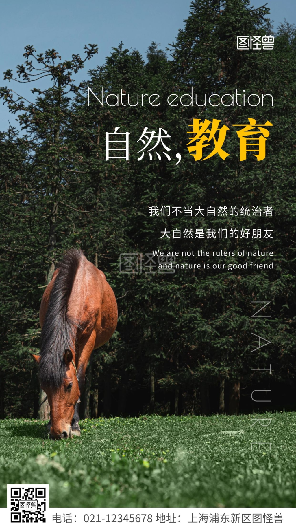 简约风白色自然教育宣传摄影图海报