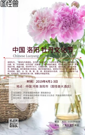 牡丹花文化节白色牡丹简约海报	