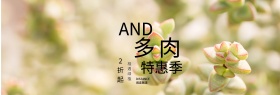 小清新手绘多肉特惠季淘宝海报banner电商