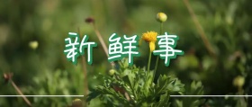 公众号封面