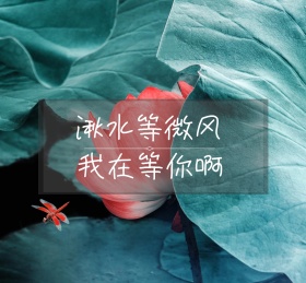 湫水等微风我在等你啊朋友圈封面