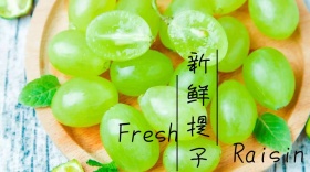 新鲜提子宣传创意简约公众号封面模版