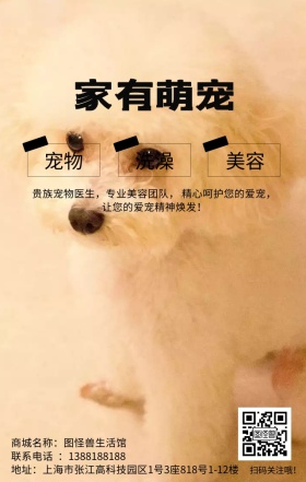 宠物店宠物用品狗狗卡通可爱手机海报