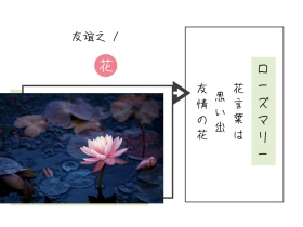 迷迭香友谊之花简约白色横版配图