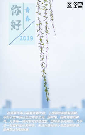迎接2019宣传海报