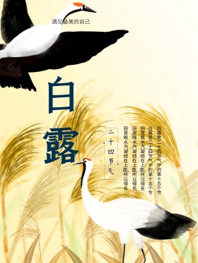 中国风简约白露节气海报