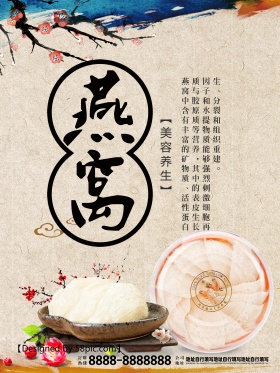 养生燕窝补品宣传海报