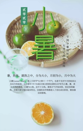 中国风水彩画小暑诗词二十四节气手机海报