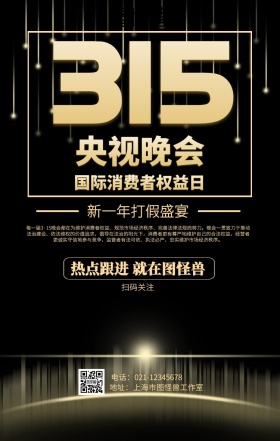315央视晚会海报