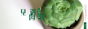 绿色小清新树叶多肉植物电商banner淘宝海报