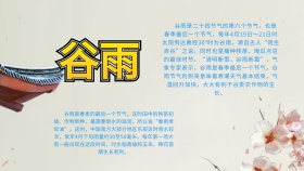 创意卡通扁平谷雨二十四节气手抄小报