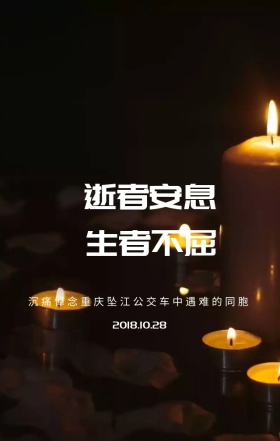 沉痛悼念重庆公共汽车事件