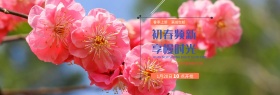 简约风淘宝春季新品上市海报banner