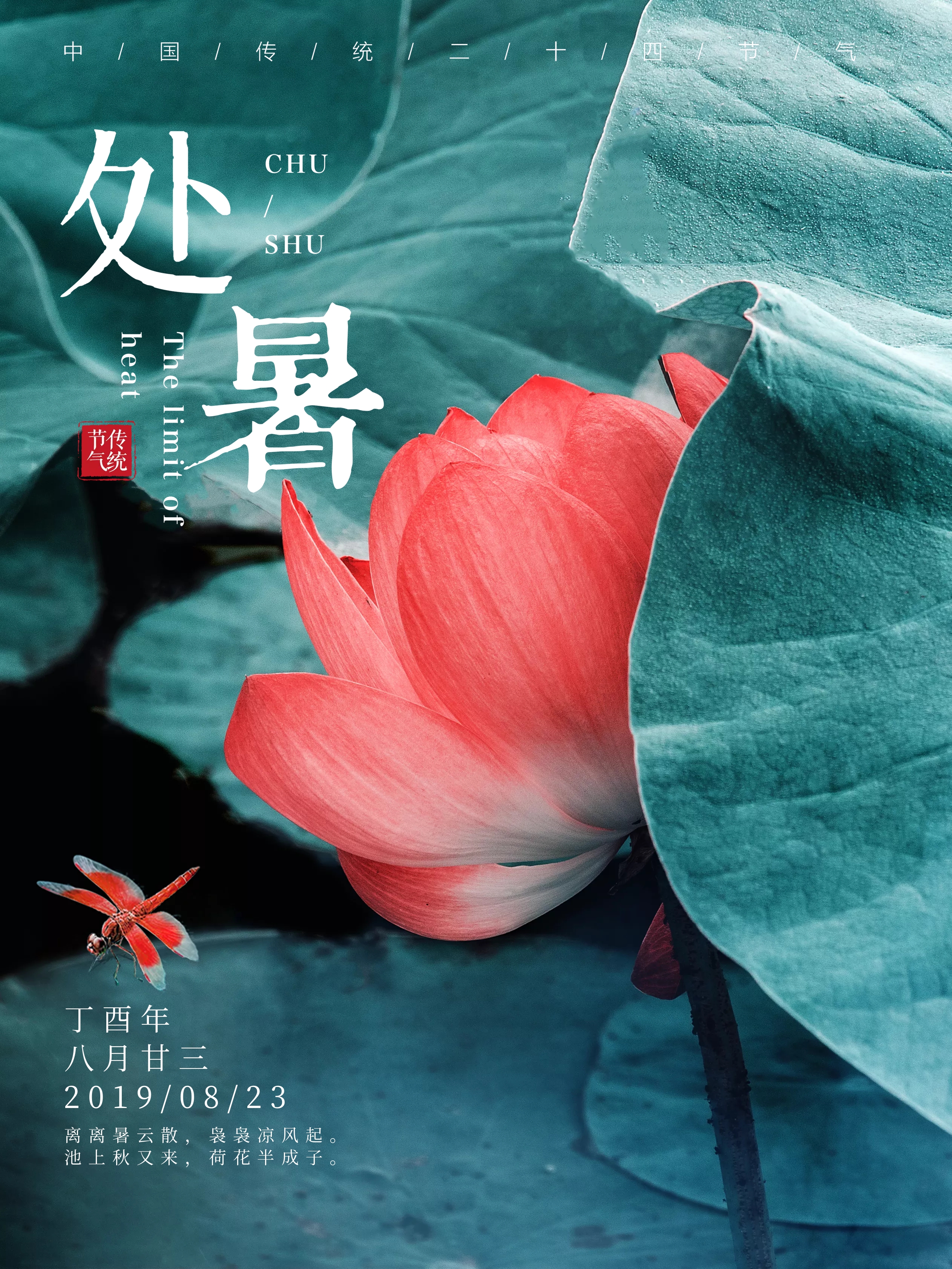荷花
