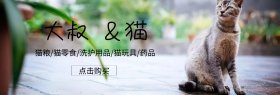 宠物店新店开业banner图片