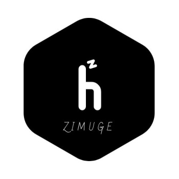 英文字母zh字体logo