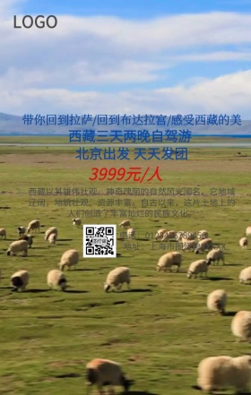 梦幻西藏手机营销海报